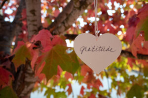 A paper heart that says "Gratitude," hanging in a tree with autumn colors