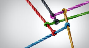 Five differently color ropes knotted together to form a rough web or net.