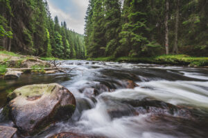 Water flowing over rocks in a mountain stream.