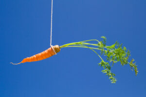 carrot hanging as bait