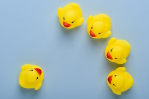 One rubber duck addressing a group of rubber ducks